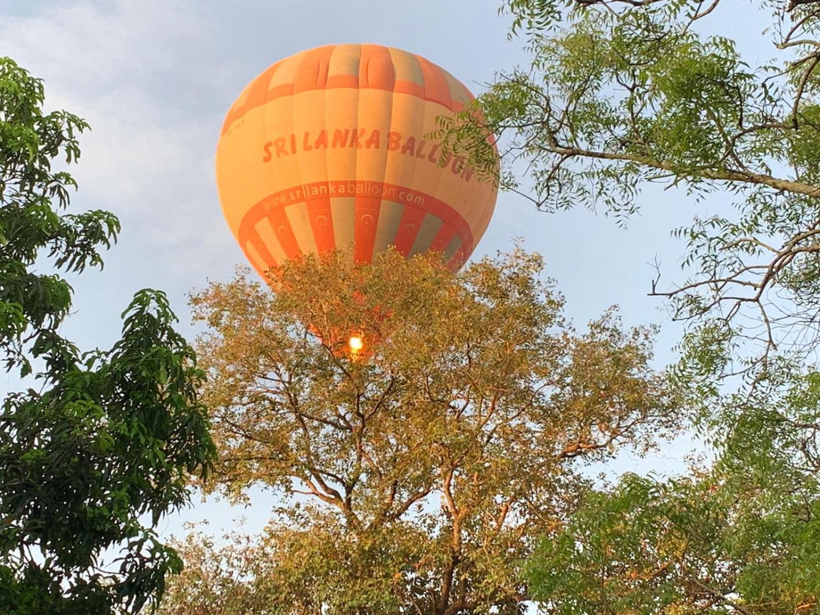 Eden Grand Hotel Dambulla Exterior photo